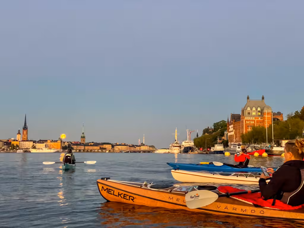 Flertal kajaker på riddarfjärden i stockholm