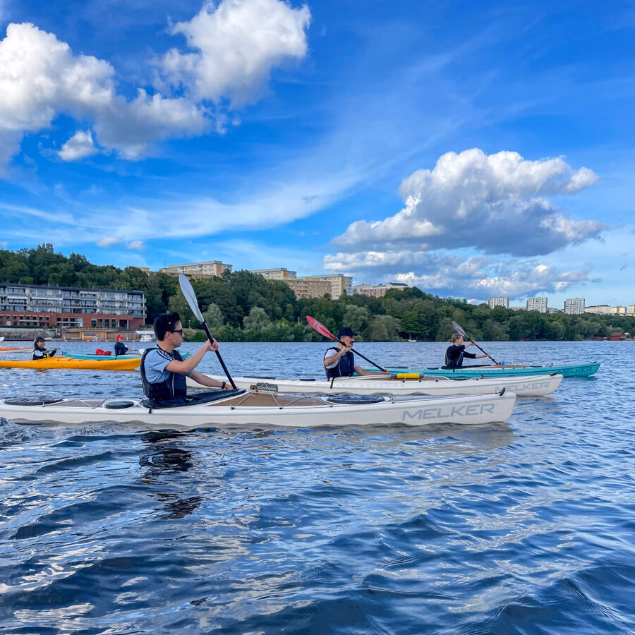 Company group kayaking in Stockholm